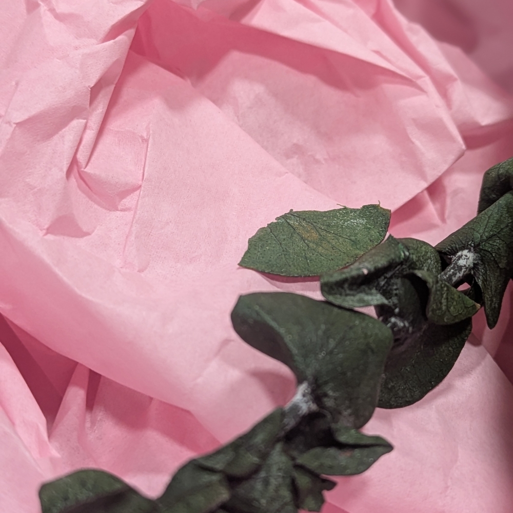 Period Bliss: Self Care Comfort Items - Picture 4 of 4
